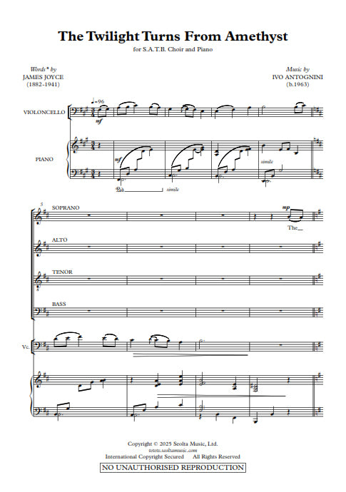 The Twilight turns from Amethyst - Ivo Antognini