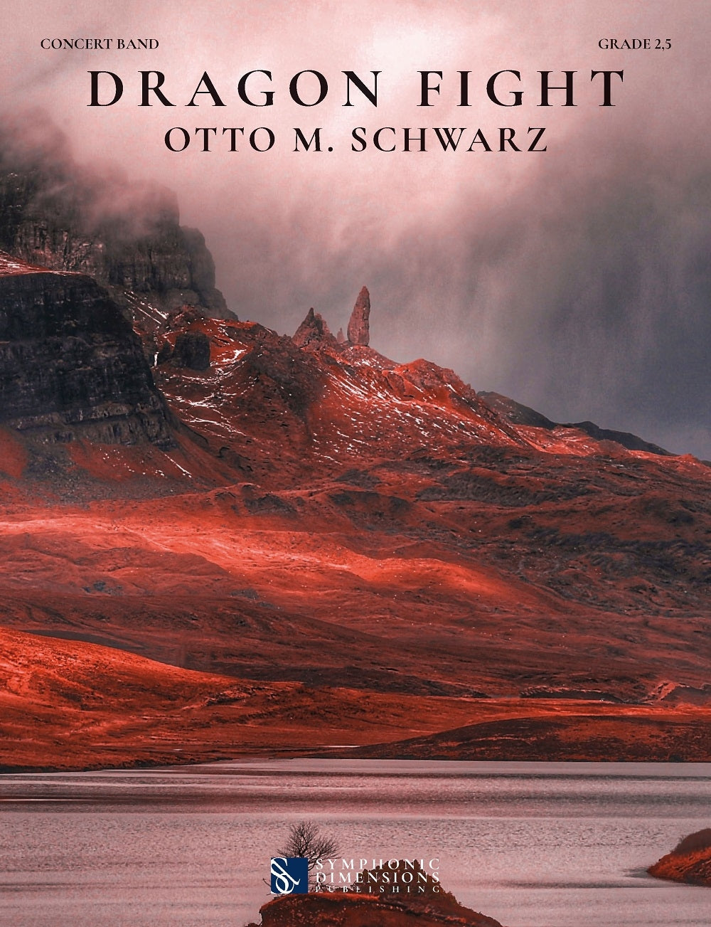 Dragon Fight - Otto M. Schwarz